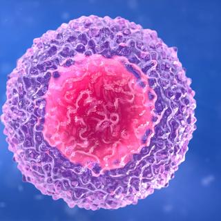 Compreender o esgotamento do sistema imunitário tornaria possível tratar melhor o cancro e as infecções crónicas. © sveta, Fotolia