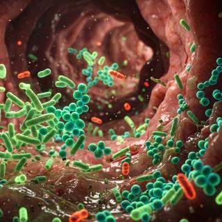 Des chercheurs ont réussi à contourner un mécanisme de défense du système immunitaire pour augmenter l'efficacité de certaines chimiothérapies.&nbsp;©&nbsp;AI Asset Hub, Adobe Stock