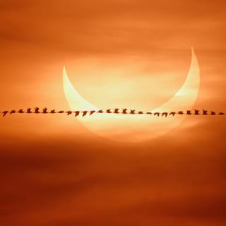 Éclipse partielle solaire photographiée au lever du jour sur une plage du Massachussets. ©&nbsp;Zev Hoover, Christian Lockwood, Zoe Chakoian, Apod (Nasa)
