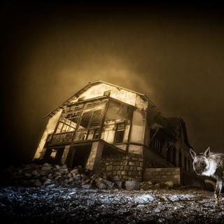 Vencedora do prémio Fotógrafo de Vida Selvagem do Ano 2025, esta fotografia é um forte símbolo da natureza que reinveste locais abandonados pelo homem. © Wim ven den Heever