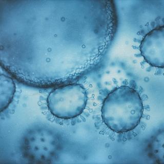 A transmissão do VIH depende em grande parte da carga viral. ©ktsdesign, Adobe Stock