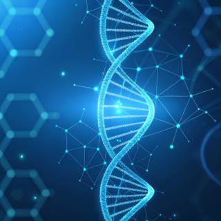 Compreender como o ADN não codificante das nossas células influencia o risco de doenças: um grande desafio para a investigação biológica que a nova inteligência artificial da Google poderá ajudar a resolver. © IQ-Fotografia, Adobe Stock