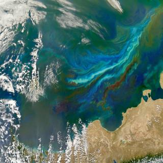 Des modifications dans les océans sont en train de s'opérer avec la mise en place du phénomène El Niño. © gizemg, Nasa, Adobe Stock
