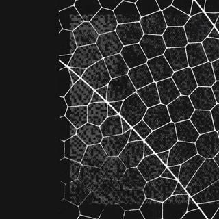 Le nouveau modèle d’Anthropic est jugé si puissant que la firme lance le projet Glasswing, un partenariat avec plusieurs entreprises pour renforcer la cybersécurité. © Anthropic