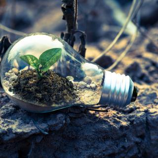 Greenwashing: como identificar as práticas dos fornecedores?