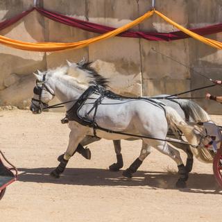 Muito popular na antiguidade, as corridas de bigas são uma antiga disciplina olímpica abandonada hoje. © Bernard GIRARDIN, fotolia