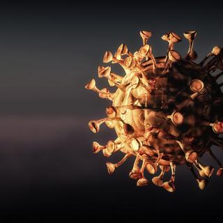 Alimentée par les variants BA4 et BA5, une nouvelle vague de Covid-19 s&#39;apprête à&amp;nbsp;déferler sur la France. © juanjo, Adobe Stock