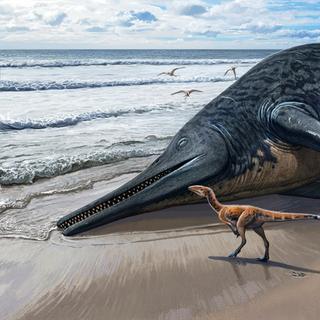 Impressão artística de um Ichthyotitan severnensis encontrado em uma praia com dinossauros. © Sergey Krasovskiy, CC-BY 4.0