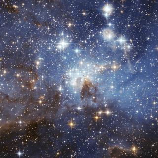 Comment les étoiles se forment-elles ? Pour mieux comprendre ce processus complexe et chaotique, les astronomes ont utilisé le télescope spatial Hubble afin d'imager, avec un niveau de détail inédit, la région de formation d'étoiles LH 95, située dans la galaxie voisine du Grand Nuage de Magellan. Habituellement, seules les étoiles les plus brillantes, les plus bleues et les plus massives d'une telle région sont visibles ; toutefois, l'image ci-dessus a été prise avec une résolution et des filtres de couleur tels que l'on peut également distinguer de nombreuses étoiles récemment formées, plus jaunes, plus faibles et moins massives. Cette image, dont les couleurs reflètent des propriétés physiques, révèle aussi une lueur bleue provenant de gaz d'hydrogène diffus chauffé par les jeunes étoiles, ainsi que des zones de poussière sombre générées par les étoiles ou lors d'explosions de supernovas. L'étude de la localisation et de l'abondance des étoiles de faible masse au sein des régions de formation stellaire et aux abords des nuages ​​moléculaires permet de mieux cerner les conditions qui régnaient lors de leur formation. LH 95 s'étend sur environ 150 années-lumière et se trouve à quelque 160 000 années-lumière de la Terre, en direction de la constellation australe de la Dorade (Dorado).&nbsp;© Astronomy Picture of the Day,&nbsp;Hubble Heritage Team, D. Gouliermis (MPI Heidelberg) et al., (STScI/Aura), ESA, Nasa