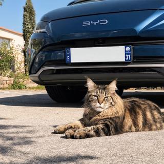 Une voiture peut servir d'abris contre le soleil, mais aussi contre le froid en hiver. © AM avec Reve AI