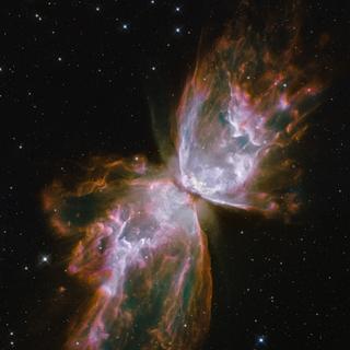 A Nebulosa da Borboleta, ou NGC 6302. © NASA, ESA, Hubble