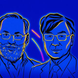 O Prémio Nobel de Fisiologia ou Medicina de 2025 foi atribuído a Mary E. Brunkow, Fred Ramsdell e Shimon Sakaguchi pelo seu trabalho no sistema imunitário. © Nobel Prize Outreach, XD com ChatGPT