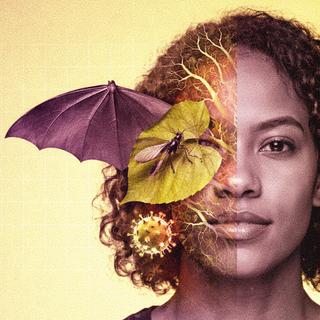 “O patógeno X é aquele que não conhecemos, mas que chegará. » Para evitar “perder”, Manon Lounnas e pesquisadores do Instituto de Pesquisa para o Desenvolvimento (IRD) contam com o conceito One Health. Do que se trata? © XD