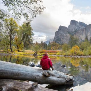Parque Yosemite, um dos mais famosos e visitados dos Estados Unidos. © Galyna Andrushko, Adobe Stock