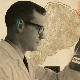 O povo Rapa Nui está praticamente ausente da história da descoberta da rapamicina como é comumente contada. © ✶ Imaginado por XD | Codificado com ChatGPT