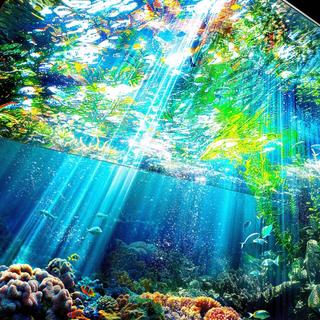 Telas Oled e TVs LCD estão recebendo novas tecnologias na CES 2026. © Samsung