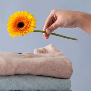 Cerca de 20 milhões de cargas de roupa são lavadas por dia na França. © Freepik