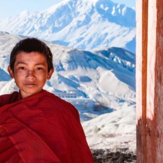 Sur les hautes altitudes du plateau tibétain, les communautés humaines s'adaptent. © Matteo ColomboStone, iStock