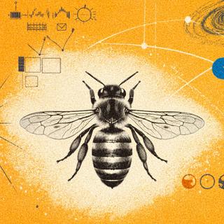  nous entraîner avec des abeilles ! © XD avec ChatGPT