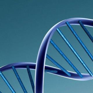 La thérapie génique agit sur l&#39;ADN, le support de l&#39;information génétique. Elle donne des résultats encourageants mais reste encore bien en dessous des espoirs placés en elle il y a quelques décennies. © Caroline Davis, Flickr, CC by 2.0