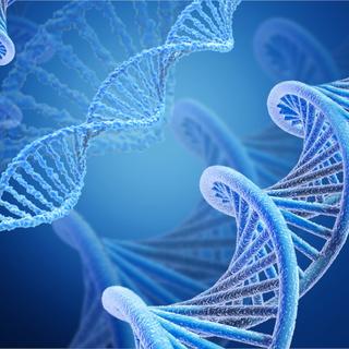 Certains virus bactériophages utilisent un code génétique différent du nôtre. ©&amp;nbsp;BillionPhotos.com, Adobe Stock