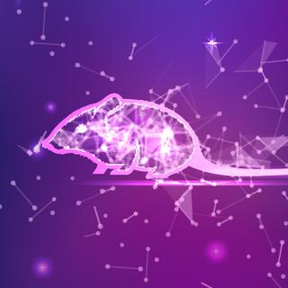 L’optogénétique permet d’induire de fausses images dans le cerveau. © Tetiana, Fotolia