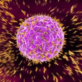 Les anticorps présents uniquement après une réinfection pourraient servir de biomarqueur pour identifier de tel cas. © Christoph Burgstedt, Adobe Stock