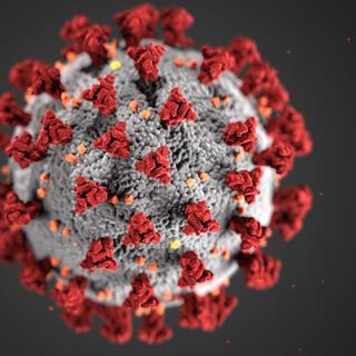 Omicron est un variant du SARS-CoV-2 identifié en Afrique du Sud. © CDC