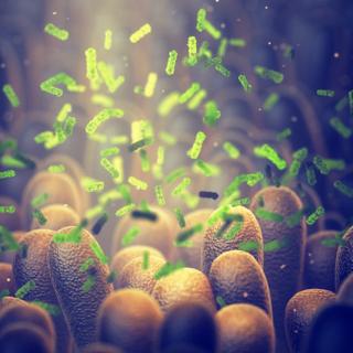 Des scientifiques chinois ont observé des perturbations dans le microbiote intestinal chez les personnes dépressives. © nobeastsofierce, Adobe Stock