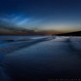 Noctiluca scintillans est une algue bioluminescente qui prolifère lorsque l’eau est calme et chaude. © Gijs de Reijke via @weermanreinier, Twitter