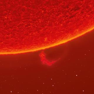 L’extrême résolution permet de distinguer des détails très fins, comme cette spicule, un jet de gaz chaud éjecté de la surface du soleil à plus de 20 km/s. © Andrew McCarthy