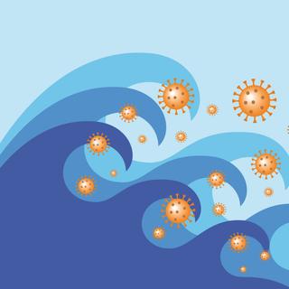 Peu à peu, le variant Omicron prend le dessus sur le variant Delta. © Eva Almqvist, Adobe Stock