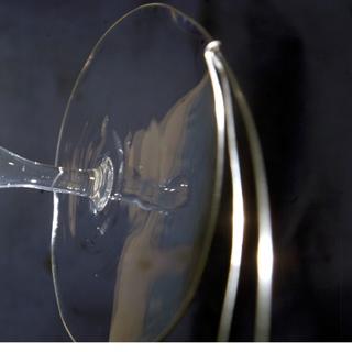 Foto tirada por Donald R. Pettit a bordo da ISS. Devido à sua tensão superficial, a água pode assumir formas surpreendentes na ausência de peso, como aqui uma película ligada a um anel de metal. Crédito: NASA