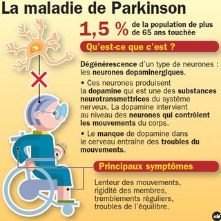 La maladie de Parkinson est la deuxième maladie neurodégénérative après la maladie d&#39;Alzheimer. © ide
