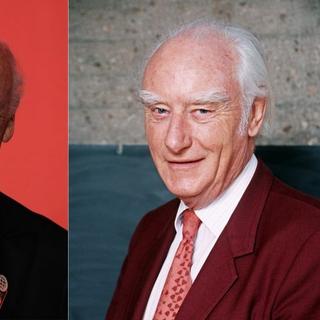 O geneticista americano James Watson (à esquerda) concordou em ter seu genoma decifrado. Ele também é conhecido por ter feito comentários muito polêmicos e racistas. O biofísico britânico Francis Crick (à direita) morreu em 28 de julho de 2004. Ele também disse palavras indesejáveis, mostrando um grande interesse pela eugenia. © Stan Honda e Daniel Mordzinski, AFP