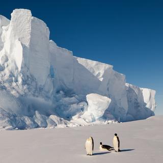 Pesquisadores da Rutgers University-New Brunswick (Estados Unidos) coletaram amostras de água derretida de uma plataforma de gelo na Antártica. O que encontraram não foi exatamente o que esperavam. © Mário Hoppmann, Adobe Stock