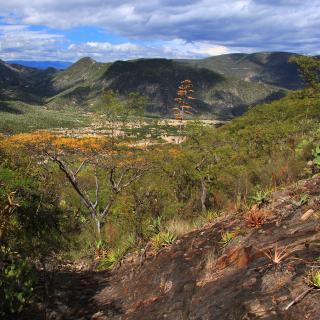 Paysage de la réserve de Tehuacan-Cuicatlan dans l'État de Puebla, au Mexique, non loin de la découverte de l'endroit où des outils retrouvés attestent d'une présence humaine remontant jusqu'à 33.000 ans. © Anton, Adobe Stock