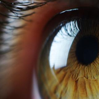 Un patient aveugle soigné par la thérapie optogénétique. © HQUALITY, Adobe Stock