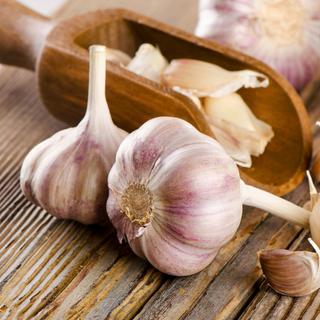 L'ail a de multiples propriétés médicinales, c'est l'ancêtre de l'antibiotique. Il est donc très utile d'en planter dans son potager. © bit24, Fotolia