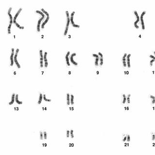 Les gènes ne sont pas les seuls responsables des maladies, l&#39;environnement joue aussi un grand rôle. © DR