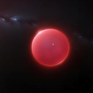 Os investigadores acabam de identificar uma estrela companheira da supergigante vermelha Betelgeuse – aqui uma imagem ilustrativa – que poderá explicar parte das suas variações de luminosidade. © joge, Adobe Stock