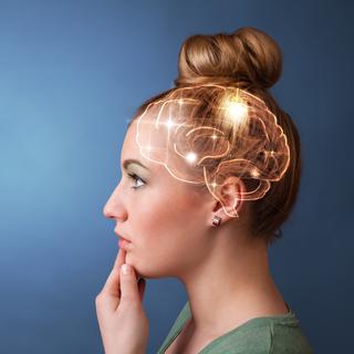 Pesquisadores da Universidade de Yale identificaram três circuitos envolvidos na tomada de decisões no cérebro de ratos. © estúdio ra2, Fotolia