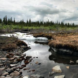 Um degelo do permafrost já libertou, em 2016, na Sibéria, bacilos responsáveis ​​pelo antraz – antraz, como lhe chamam os falantes de inglês – que infectaram seres humanos. © Alexandre, Adobe Stock