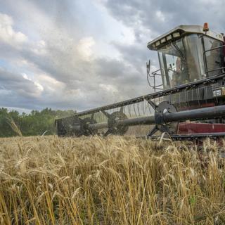 A percentagem de emissões de gases com efeito de estufa provenientes de áreas terrestres é significativa. Mas estes últimos também contribuem para armazenar parte do carbono atmosférico. © Игорь Кляхин, Fotolia