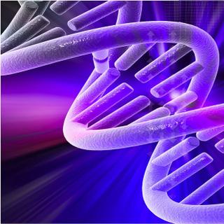 Les scientifiques ont introduit le gène sain dans l’ADN de cellules souches sanguines porteuses d’une anomalie génétique. © AndreaLaurel, Flickr, CC by 2.0