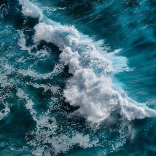  aucune n’est sans conséquence. © Dmitry Yakovtsev, Adobe Stock
