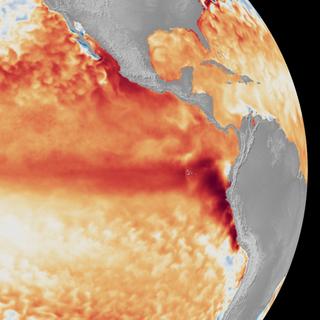 Dans le Pacifique, les satellites montrent une anomalie de température prête à bousculer notre climat pour plusieurs mois. Pendant que l’océan se réchauffe, les scientifiques étudient des idées pour le refroidir. © NOAA Satellites