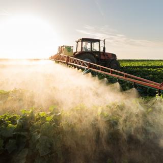 Só em 2020, a humanidade adicionou 10 milhões de toneladas de óxido nitroso (N2O) à atmosfera. E o número continua a aumentar. No entanto, o óxido nitroso é um poderoso gás de efeito estufa que contribui para o aquecimento global antropogênico. © Dusan Kostic, Adobe Stock