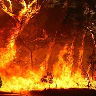 Pompiers combattant un feu sauvage. © IsraelYvenson, Twitter