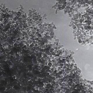 Des nanodiamants vus au microscope. Crédit : PlasmaChem GmbH